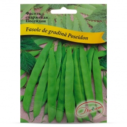 Image-product